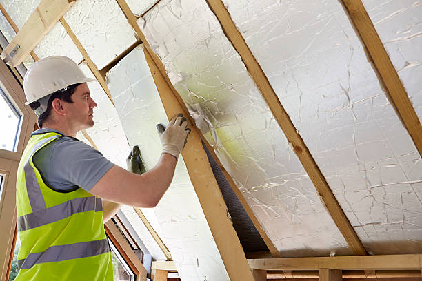 Best Insulation Removal Services  in North Bellport, NY